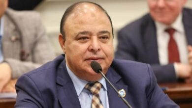 زيارة الرئيس لغينيا تعكس حرص مصر على تعزيز التعاون مع القارة الأفريقية