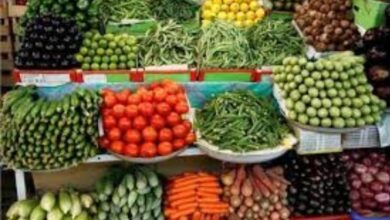 سعر الخضروات اليوم 11-7-2025