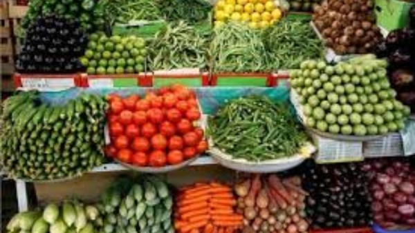 سعر الخضروات اليوم 11-7-2025