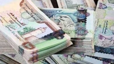 سعر الدرهم الإماراتي مقابل الجنيه المصري اليوم السبت