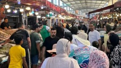 سوق أسماك بورسعيد الحضاري يشهد إقبالًا من أبناء الباسلة وزائريها .. صور