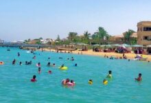 شواطئ ممتلئة.. أجواء الصيف في الإسماعيلية وعودة مهرجان المانجو