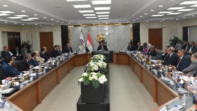 شيمي: مشروعات توسعية جديدة وشراكات مع القطاع الخاص لتحديث وتوطين الصناعات