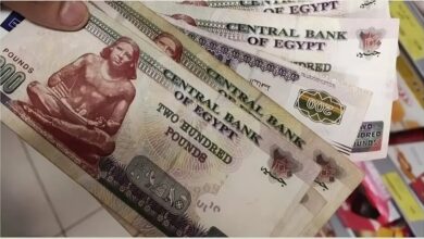 صرف 3000 جنيه زيادة لهؤلاء الموظفين.. موعد مرتبات شهر يوليو 2025