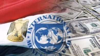 صندوق النقد: مصر تستهدف 3 مليارات دولار من حصيلة الطروحات في 2025/2026