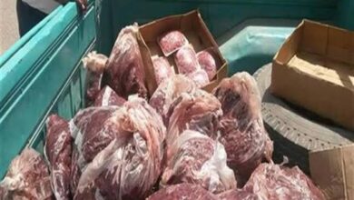 ضبط طن لحوم ودواجن فاسدة غير صالحة للاستهلاك الآدمي