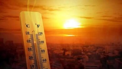 طقس الخميس شديد الحرارة وشبورة مائية كثيفة ورياح نشطة