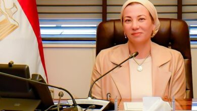 عاجل .. الحكومة تقبل استقالة وزيرة البيئة 