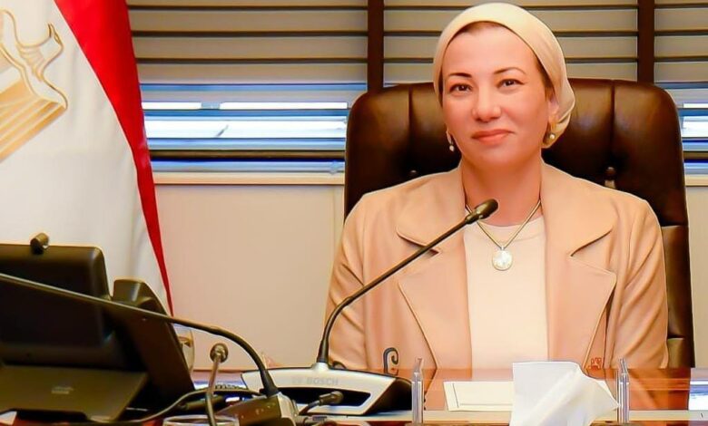 عاجل .. الحكومة تقبل استقالة وزيرة البيئة 