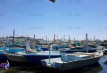 عودة الحياة إلى شواطئ البحر الأحمر.. استئناف الصيد بعد حظر استمر شهرين