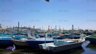 عودة الحياة إلى شواطئ البحر الأحمر.. استئناف الصيد بعد حظر استمر شهرين