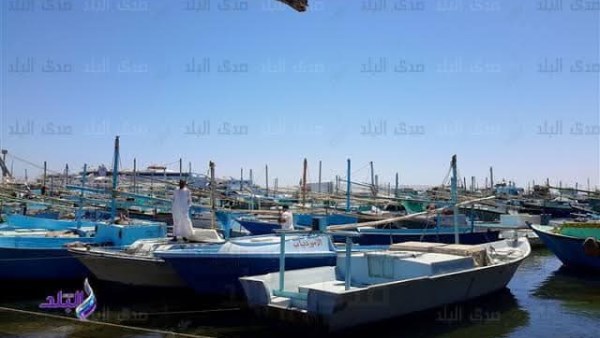 عودة الحياة إلى شواطئ البحر الأحمر.. استئناف الصيد بعد حظر استمر شهرين