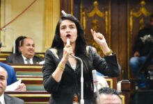 قانون المهن الطبية يضمن تحقيق المساواة لأفراد المهنة