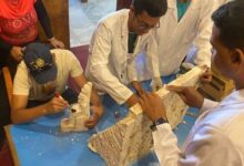 قوالب الصب محاضرة بـ متحف التحنيط