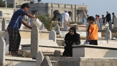 لا مانع من زيارة السيدات للقبور يوم الجمعة بشرط