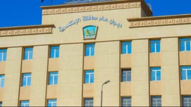 محافظ الإسكندرية يوجه برفع كفاءة المرافق العامة وإصلاح الأعطال