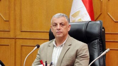 محافظ الإسماعيلية يتابع جهود لجنة تطوير الميادين العامة ومداخل المدن بالمحافظة لتعزيز الهوية البصرية