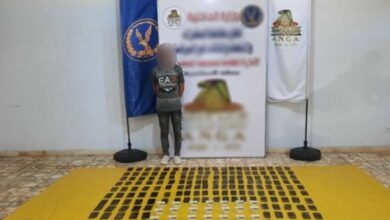 مخدرات ب20 مليون جنيه.. الداخلية تداهم بؤر إجرامية شديدة الخطورة