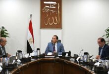 مدبولي يتابع إجراءات توفير الاعتمادات المالية المطلوبة للمواد البترولية اللازمة لتشغيل محطات الكهرباء