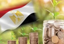 مشروع السلاسل التجارية الحكومية يعزز الاستثمار ويضبط الأسعار