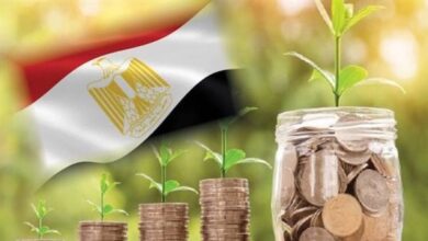مشروع السلاسل التجارية الحكومية يعزز الاستثمار ويضبط الأسعار