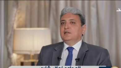 مصر أكثر دولة انتصرت لحقوق الإنسان في فلسطين