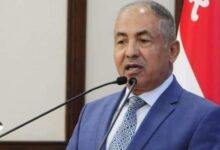 مصر حققت إنجازات غير مسبوقة بإنشاء علاقات إفريقية متميزة