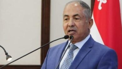 مصر حققت إنجازات غير مسبوقة بإنشاء علاقات إفريقية متميزة