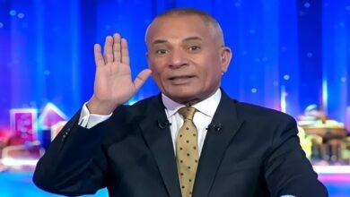 مصر لديها تخوفات كبيرة من مخطط تقسيم سوريا