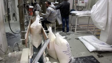 «مطاحن جنوب القاهرة والجيزة» تُضاعف أرباحها 2.5 مرة خلال العام المالي الجاري 