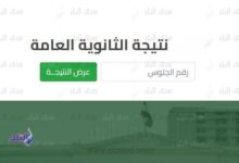 نتيجة الثانوية العامة 2025 على صدى البلد قريباً..وبشرى سارة بشأن نسب النجاح