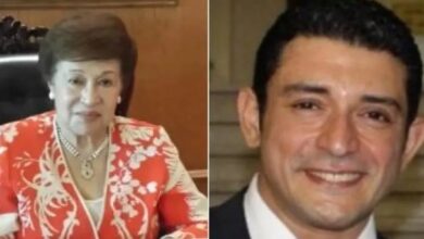 نظر دعوى نقل ملكية أسهم أحمد الدجوي بشركة دار التربية لإحدى الحفيدات