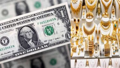 هل تواجه صناديق الاستثمار بالذهب تقلبات السوق وأسعار الفائدة؟.. برلمانية تجيب