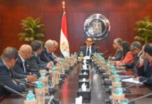 وزير الاستثمار يلتقي ممثلى عدد من الشركات المصرية والدولية