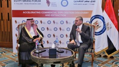 وزير البترول يبحث التعاون مع السعودية في قطاع التعدين
