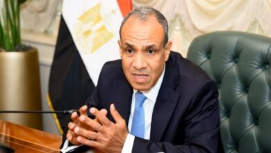 وزير الخارجية ينطلق في جولة لزيارة 5 دول أفريقية يرافقه 30 من رؤساء كبرى الشركات المصرية