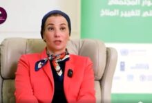 ياسمين فؤاد تكشف تفاصيل منصبها الجديد بالأمم المتحدة