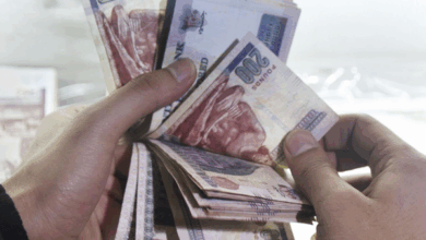 يصل إلى 24.75%..تفاصيل أعلى عائد على الشهادات المتغيرة بالبنوك المصرية