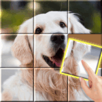jigsaw-sort-jigsaw-hd-·-kids.png