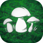 real-mushroom-hunting-simulato.png
