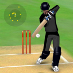 smashing-cricket.png
